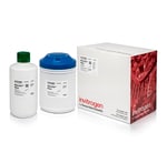 https://www.dev3.thermofisher.com/content/dam/LifeTech/Images/Brands/search/default-brand.jpg